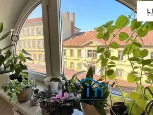 Pronájem bytu 1+kk, Olomouc, Sokolská, 52 m2