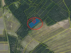 Prodej podílu lesa, Černěves, 892 m2