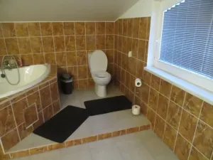 Prodej podílu rodinného domu, Drozdov, 275 m2