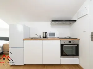 Pronájem apartmánu, Ostrava, Cihelní, 33 m2