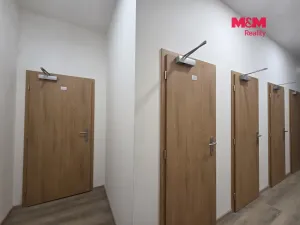 Prodej bytu 1+kk, Praha - Nové Město, Sokolská, 18 m2