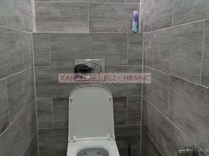 Pronájem bytu 1+1, Ostrava, U Haldy, 40 m2