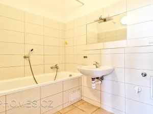 Pronájem bytu 2+kk, Praha - Žižkov, Přemyslovská, 53 m2
