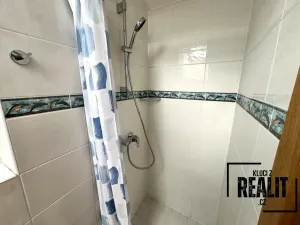 Pronájem bytu 1+kk, Praha - Žižkov, Seifertova, 45 m2