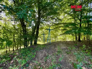 Prodej lesa, Hranice - Hranice IX-Uhřínov, 5050 m2