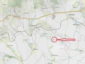 Prodej lesa, Děčany, 1581 m2