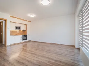 Prodej bytu 1+kk, Uničov, Pionýrů, 48 m2
