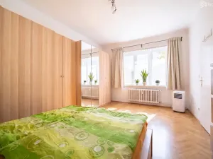 Prodej bytu 1+1, Brno, Pod kaštany, 49 m2