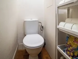 Prodej bytu 1+1, Brno, Pod kaštany, 49 m2