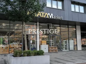 Prodej bytu 2+kk, Praha - Žižkov, Olšanská, 52 m2