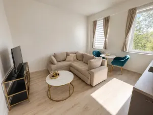 Pronájem bytu 2+kk, Brno, Franzova, 38 m2