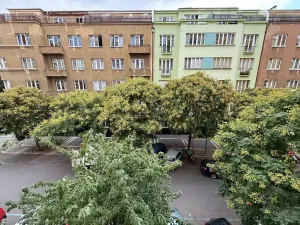 Pronájem bytu 1+1, Praha - Žižkov, Baranova, 56 m2