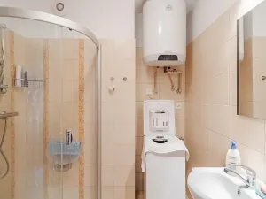 Prodej bytu 2+1, Letohrad, Budovatelů, 66 m2