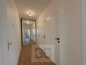 Pronájem bytu 2+kk, Praha - Žižkov, Biskupcova, 51 m2