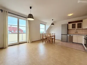 Pronájem bytu 2+kk, Bílovice nad Svitavou, Lesní, 46 m2