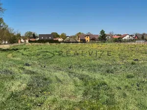 Prodej pozemku pro bydlení, Čejkovice, 901 m2