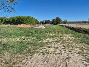 Prodej pozemku pro bydlení, Čejkovice, 901 m2