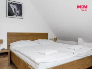 Prodej bytu 1+kk, Horní Lhota, 20 m2