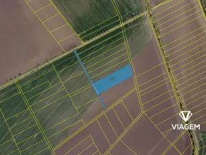 Prodej podílu pole, Třibřichy, 471 m2