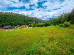 Prodej pozemku pro bydlení, Valašská Bystřice, 1281 m2