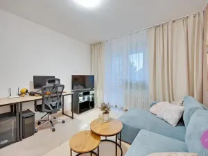 Prodej bytu 2+1, Olomouc, Foerstrova, 58 m2