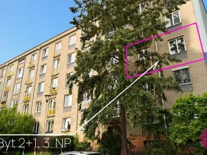 Prodej bytu 2+1, Olomouc, Foerstrova, 58 m2