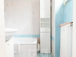 Pronájem bytu 3+1, Praha - Nové Město, Hálkova, 102 m2