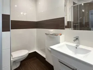 Pronájem bytu 1+1, Brno, Schwaigrova, 35 m2