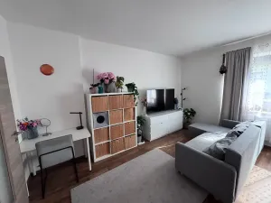 Pronájem bytu 1+1, Jihlava, Hálkova, 39 m2