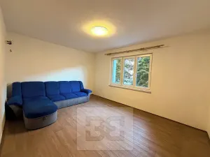 Pronájem bytu 2+1, Ostrov, S. K. Neumanna, 56 m2