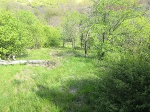 Prodej chaty, Podolí, 23 m2