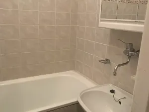 Prodej bytu 2+1, Praha, V olšinách, 45 m2