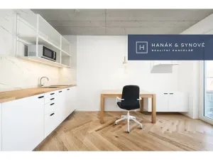 Pronájem bytu 1+kk, Brno, Chaloupkova, 23 m2