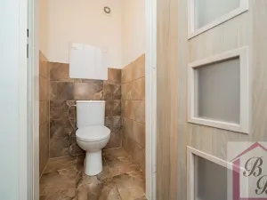 Prodej bytu 4+1, Mladá Boleslav, Mládežnická, 78 m2