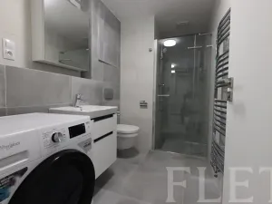 Pronájem bytu 1+kk, Praha - Holešovice, V háji, 38 m2