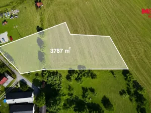 Prodej pozemku pro bydlení, Rychnov nad Kněžnou - Panská Habrová, 3787 m2