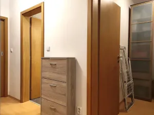 Pronájem bytu 1+kk, Brno, Škárova, 37 m2