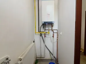 Pronájem obchodního prostoru, Brněnec, 238 m2