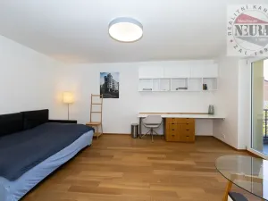 Pronájem bytu 4+kk, Praha - Motol, U hrušky, 150 m2