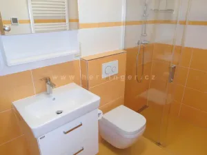 Pronájem bytu 1+kk, Šlapanice, Masarykovo náměstí, 23 m2