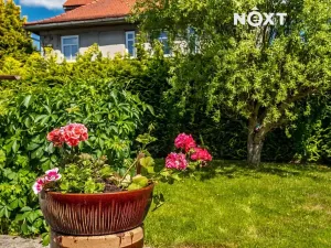 Prodej rodinného domu, Cvikov, Nová, 169 m2