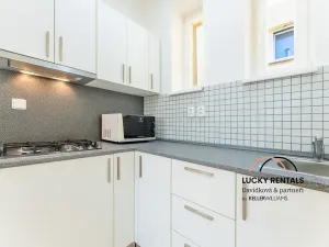 Pronájem bytu 1+kk, Praha - Vinohrady, Moravská, 49 m2