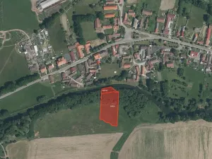 Prodej louky, Buzice, 4295 m2