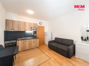 Pronájem bytu 1+kk, Praha - Smíchov, Na Neklance, 31 m2
