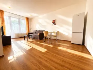 Pronájem bytu 2+kk, Praha - Karlín, Křižíkova, 51 m2