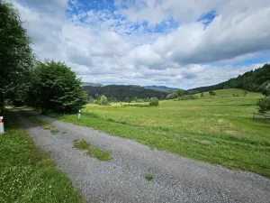 Prodej louky, Dolní Dvořiště, 562199 m2