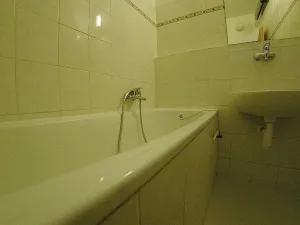 Pronájem bytu 1+1, Plzeň, Klatovská, 39 m2