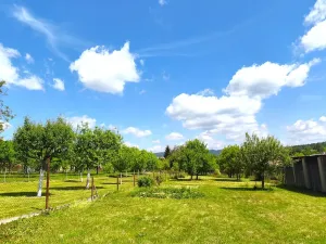 Prodej rodinného domu, Racková, 300 m2