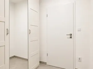 Pronájem bytu 1+kk, Plzeň, Goldscheiderova, 40 m2