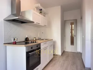 Pronájem bytu 3+1, Teplice, Růženy Svobodové, 85 m2